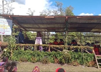 Sepenggal Kertas Dari Dalam Noken Mama Wamena Untuk Pemda Jayawijaya