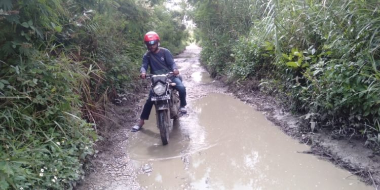 Masyarakat Distrik Musatfak Tagih Janji Politik Bupati Jayawijaya 