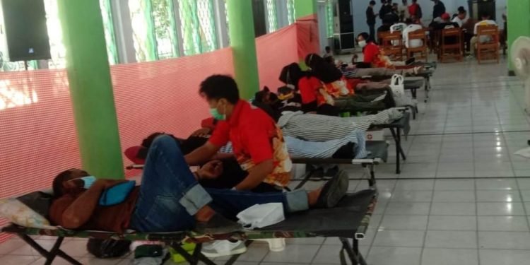 Donor Darah Untuk Kesehatan Diri dan Membantu Sesama
