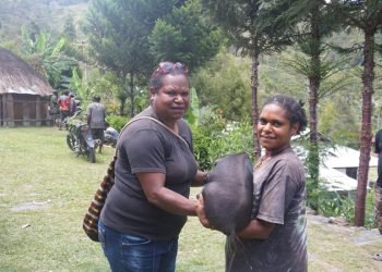 266 Ekor Bibit Ternak Babi Diserahkan Kepada Masyarakat Peternak di Tolikara