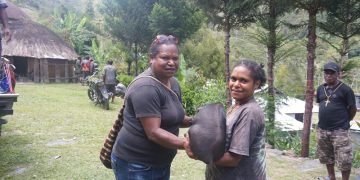 266 Ekor Bibit Ternak Babi Diserahkan Kepada Masyarakat Peternak di Tolikara