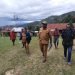 Dinkes Jayawijaya Tinjau Lokasi Pembangunan Puskesmas Distrik Ibele