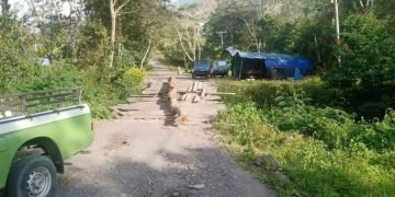 Swadaya Sopir Trayek, Bangun Jembatan Penghubung Wamena – Kurima di Distrik Asotipo