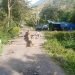 Swadaya Sopir Trayek, Bangun Jembatan Penghubung Wamena – Kurima di Distrik Asotipo