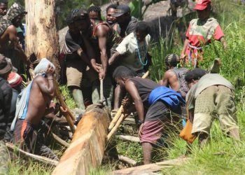 Warga Distrik Bugunggona Antosias Bantu Proses Pembangunan Jembatan 
