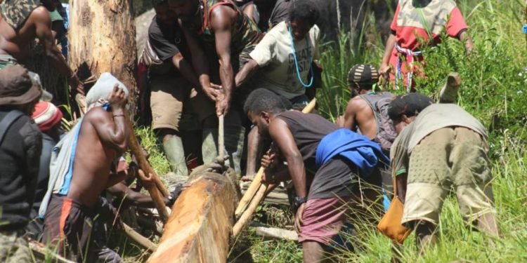 Warga Distrik Bugunggona Antosias Bantu Proses Pembangunan Jembatan