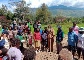 Petani Waluok Kampung Helaluwa Tanam Kedelei Perdana 