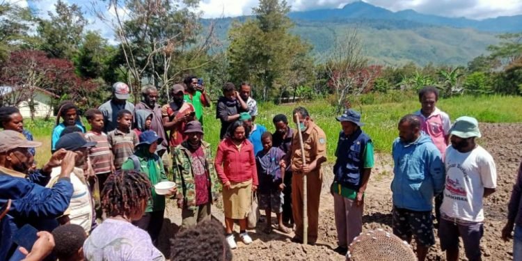Petani Waluok Kampung Helaluwa Tanam Kedelei Perdana 
