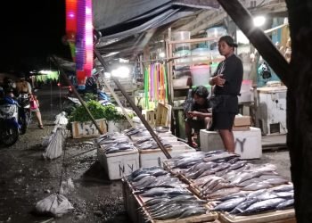 Seorang pedagang sedang menjual ikan di depan Ruko Jalur 1 Dekai