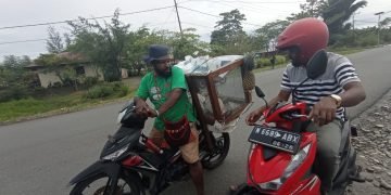 Natan Sama saat sedang berkomunikasi dengan pembeli Ayam Potong hidup hasil peternakan Duku Sunu Dekai Farm