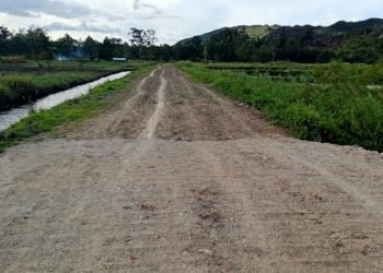 Jalan Dibangun, Masyarakat Minimo Apresiasi Pemda Jayawijaya