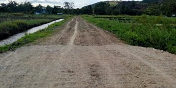 Jalan Dibangun, Masyarakat Minimo Apresiasi Pemda Jayawijaya
