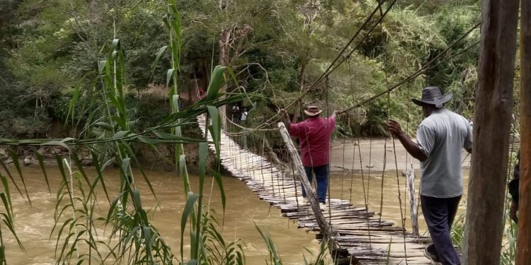 Kadis PU Lanny Jaya Tinjau Jembatan Gantung di Gelok Beam