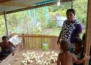 Ibu Aika Wakla bersama keluarga usai melakukan penanganan pertama untuk anak ayam potongnya.