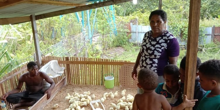 Ibu Aika Wakla bersama keluarga usai melakukan penanganan pertama untuk anak ayam potongnya.