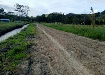 Jalan Dibangun, Masyarakat Minimo Apresiasi Pemda Jayawijaya