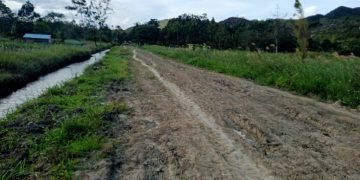 Jalan Dibangun, Masyarakat Minimo Apresiasi Pemda Jayawijaya