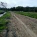 Jalan Dibangun, Masyarakat Minimo Apresiasi Pemda Jayawijaya