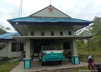 Terjadi Pemadaman Listrik, Ini Kata Kepala PLN KP Yahukimo