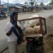 Agar Bisa Kuliah, Perempuan Muda ini Jualan Ayam Keliling Dekai