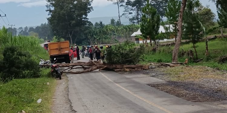 Keluarga Korban Penembakan oleh Polisi Kembali Palang Jalan Trans Wamena- Jayapura