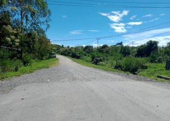 Pengaspalan Jalan  Hom-hom Moai Diharapkan Sampai ke Distrik Musatfak