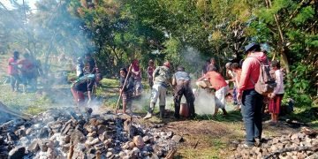 Rayakan Idul Adha, Umat Muslim di Walesi Bakar Batu Sapi