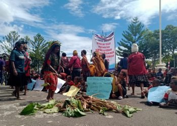 Sambil Membawa Hasil Kebun, Masyarakat Meratapi Nasib Tanah Adatnya di Kantor DPR Jayawijaya