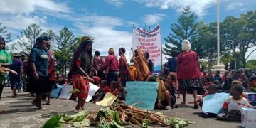 Sambil Membawa Hasil Kebun, Masyarakat Meratapi Nasib Tanah Adatnya di Kantor DPR Jayawijaya