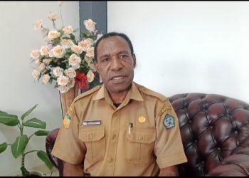 Ini Penyebab Pencairan Dandes Tahun 2023 di Jayawijaya Terlambat