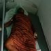 Di Dekai Dua Perempuan Dianiaya, Satu Meninggal Dunia