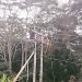 Masyarakat Ibele Harap PLN Nyalakan Lampu  