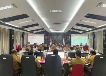 Kemendagri Apresiasi Kinerja Gubernur Papua Pegunungan