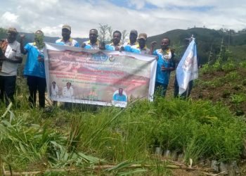 Peringati Sumpah Pemuda, KNPI Jayawijaya Tanam 1000 Pohon