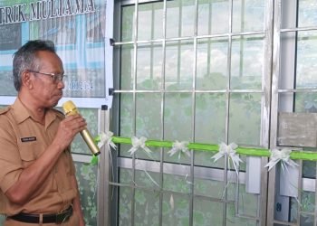 Resmikan Puskesmas Muliama, Tinggal Wusono: Kesehatan Masyarakat Prioritas Pemerintah