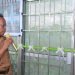 Resmikan Puskesmas Muliama, Tinggal Wusono: Kesehatan Masyarakat Prioritas Pemerintah