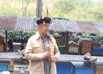 PJ Gubernur Papua Pegunungan Panen Raya Madu di Distrik Walelagama