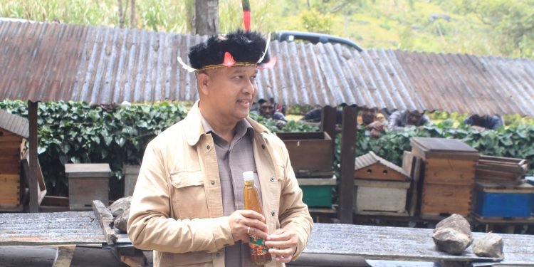 PJ Gubernur Papua Pegunungan Panen Raya Madu di Distrik Walelagama