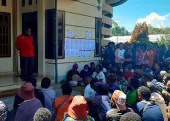 Ribuan Pelamar Guru Kontrak Minta Pemprov Papua Pegunungan Tambah Kuota