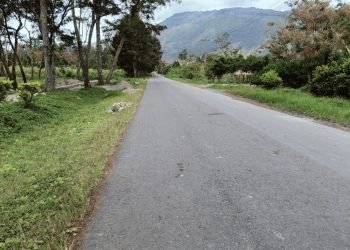 Akibat Konflik, Dua Pekan Masyarakat 5 Distrik Tidak Bisa Akses Ke Kota