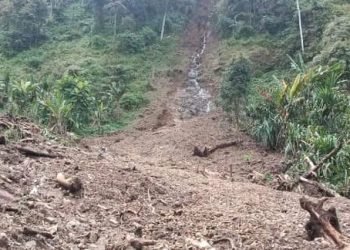 13 Kampung di Distrik Lolat Mengalami Musibah Longsor