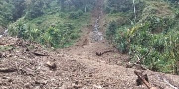 13 Kampung di Distrik Lolat Mengalami Musibah Longsor