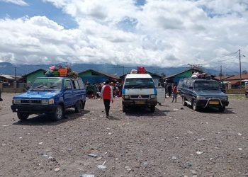 Pemda Diminta Tertibkan Aktivitas Judi di Pasar Jibama Wamena