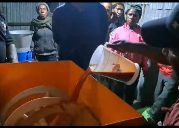  Inovasi Mesin Pakan Ternak Kelompok Blestin Papua di Wamena