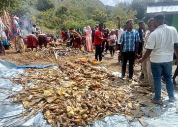 Rayakan Idul Fitri Dengan Budaya “Bakar Batu” di Wamena Papua