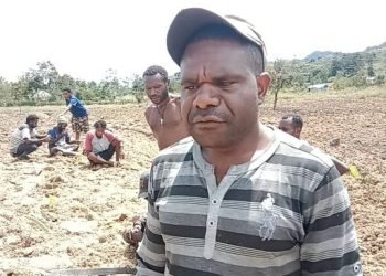 “Setelah Banjir Kami Sedang Buka Kebun Baru, Kenapa Pemerintah Tidak Kasih Bantuan Lagi”?