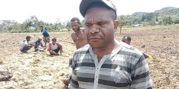 “Setelah Banjir Kami Sedang Buka Kebun Baru, Kenapa Pemerintah Tidak Kasih Bantuan Lagi”?