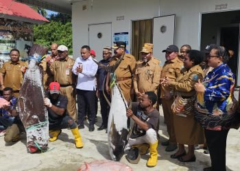 Perkuat Kerjasama Sektor Perikanan dan Pertanian, Gubernur Jhon Tabo Kunjungi Biak Numfor