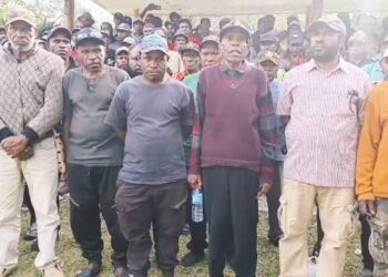 Asosiasi Kepala Kampung Minta Pemda Selesaikan Masalah PLT Sebelum Penyaluran Dana