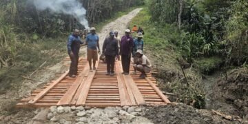 Bangun Jembatan Swadaya, Kadis PUPR Apresiasi Warga Distrik Wolo dan Bpiri
